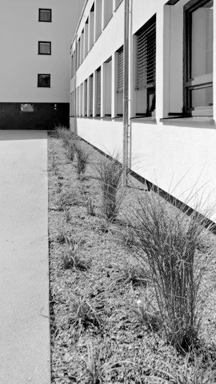 Hildebrand + Schwarz Architekten, Friedrichshafen